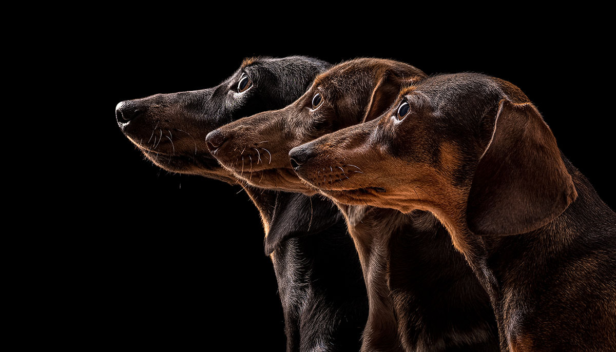 18x12-Frame-Composite-Master-2.jpg